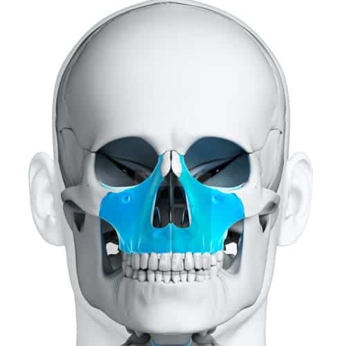 disjonction intermaxillaire chirurgie du visage paris chirurgien maxillo facial paris dr charles mathieu bandini paris 17